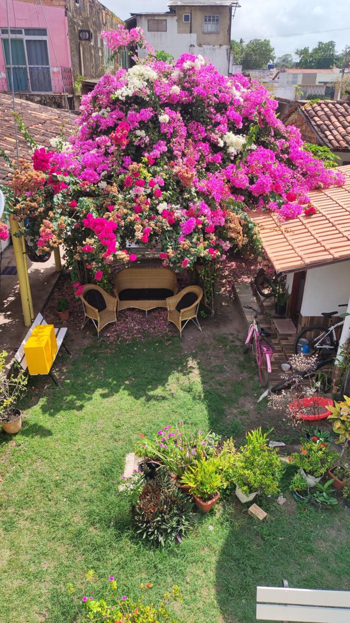 סורי Pousada Solar Encanto Do Marajo מראה חיצוני תמונה