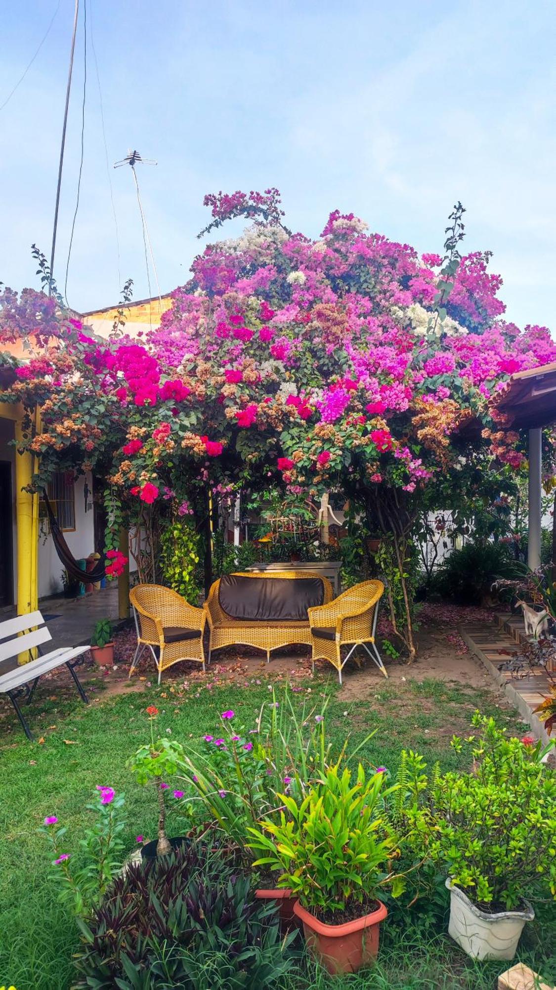 סורי Pousada Solar Encanto Do Marajo מראה חיצוני תמונה