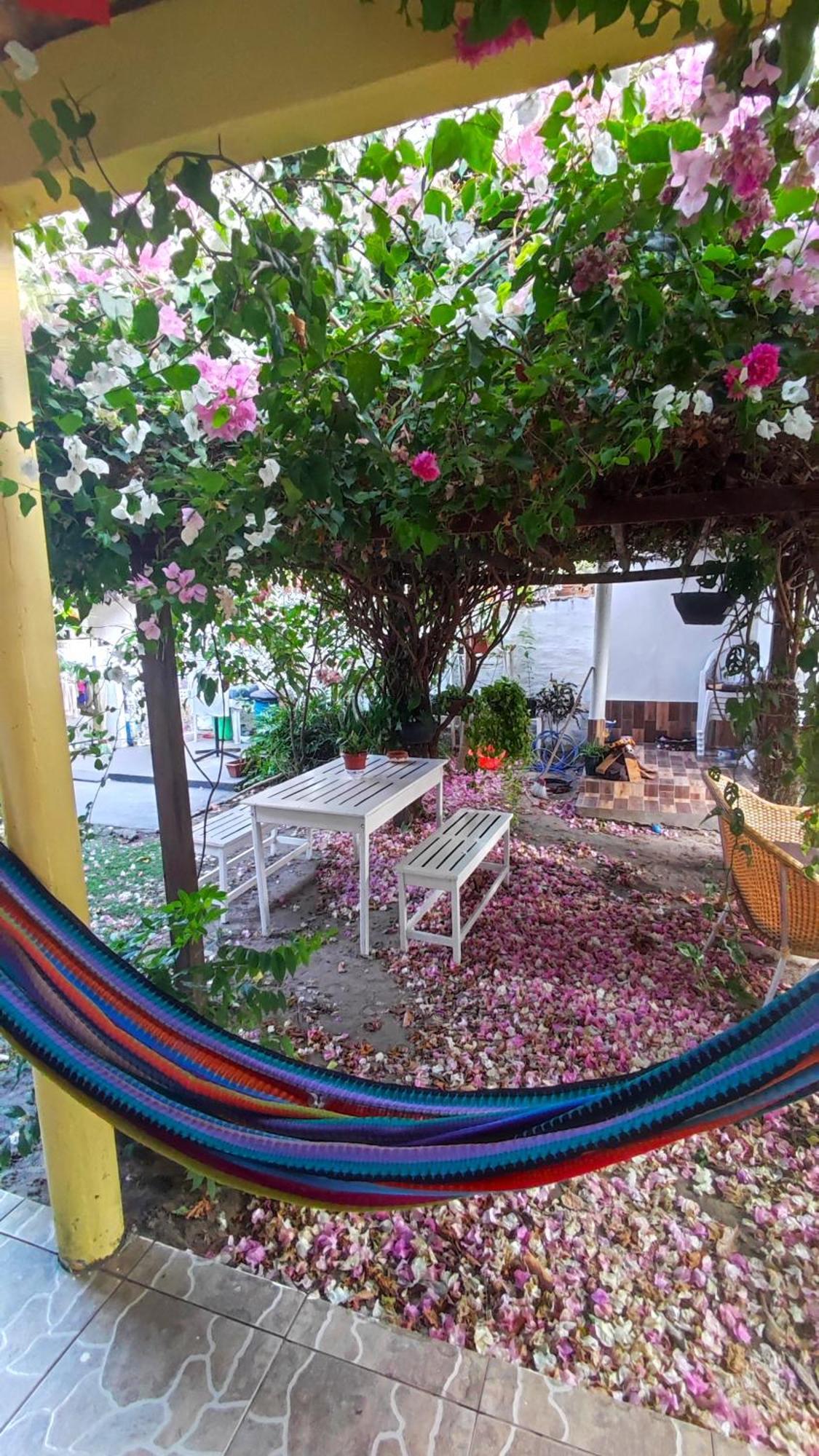 סורי Pousada Solar Encanto Do Marajo מראה חיצוני תמונה
